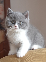 1920 X 2583 199.6 Kb   