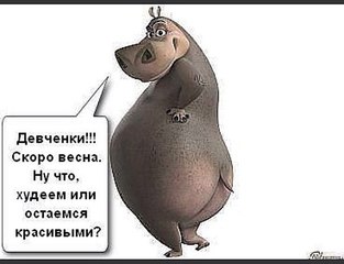 604 X 463  35.1 Kb Малыши 2013/2 полугодие