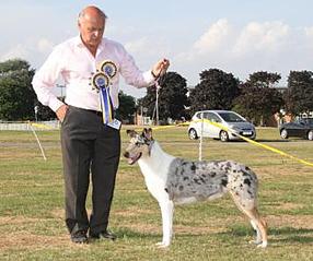 356 X 298 21.1 Kb -2014