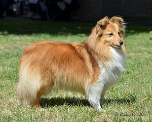 750 X 600  80.4 Kb -2014