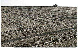 600 X 369 38.5 Kb Почему косят траву летом?