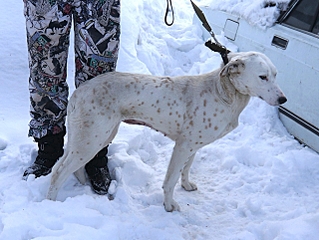 1280 X 963 584.2 Kb  !