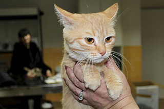 1024 X 682 155.6 Kb 1024 X 682 168.8 Kb        