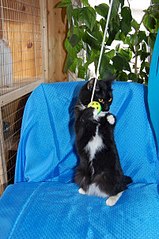 402 X 604  71.5 Kb -  