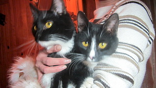 1920 X 1079 439.4 Kb -  