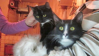 1920 X 1079 604.8 Kb 1920 X 1079 439.4 Kb -  