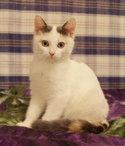 1920 X 2252 173.9 Kb  ,   -  .