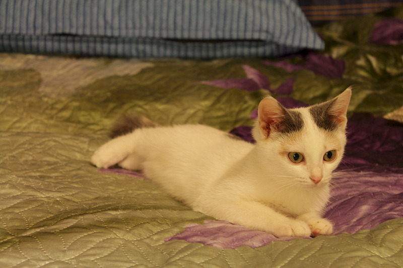 1920 X 1280 380.7 Kb  ,   -  .