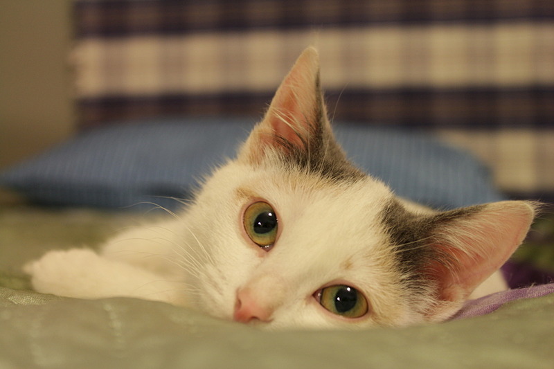 1920 X 1280 310.5 Kb  ,   -  .