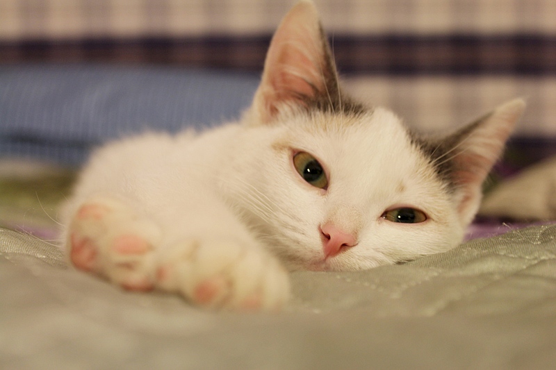 1920 X 1280 571.2 Kb  ,   -  .