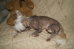 1920 X 1277 551.7 Kb 1920 X 1277 472.6 Kb      ,  