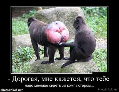 492 X 381  40.0 Kb Улыбнемся?