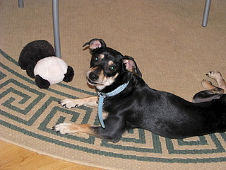 1920 X 1440 749.2 Kb 1920 X 1440 700.9 Kb     