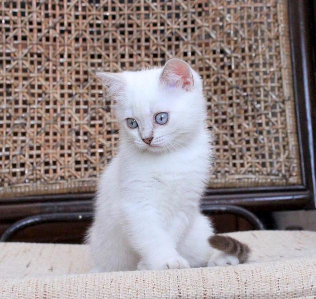 811 X 768 92.0 Kb 768 X 864 91.8 Kb 883 X 768 85.0 Kb    !