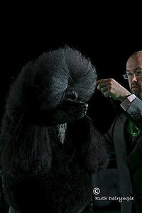 350 X 525  30.3 Kb -2014