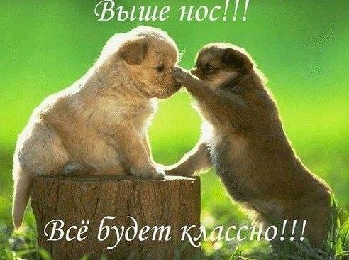 492 x 366 Улыбнемся?