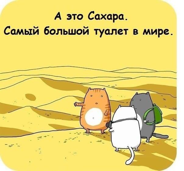 604 x 561 492 x 366 Улыбнемся?
