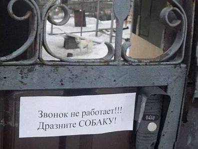 590 X 446  32.3 Kb Улыбнемся?