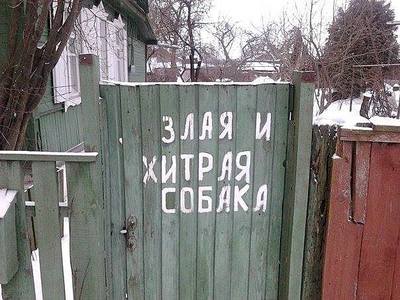 604 X 453  55.5 Kb 590 X 446  32.3 Kb Улыбнемся?