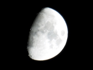 1701 X 1293 183.6 Kb Samyang 500mm f/6.3