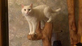 604 X 341  30.7 Kb  !      ...    -  