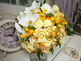 1920 X 1440 651.2 Kb 1920 X 2560 894.5 Kb 1280 X 853 184.6 Kb    ! !