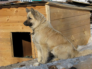 1920 X 1440 636.5 Kb 1920 X 2560 982.6 Kb 1920 X 1440 611.2 Kb    