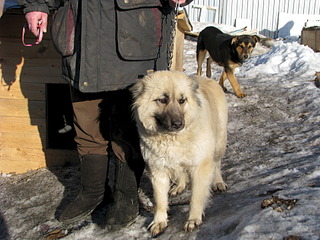 1920 X 1440 715.9 Kb    