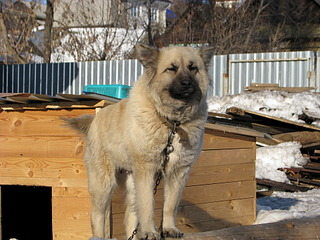 1920 X 1440 650.8 Kb 1920 X 2560 387.5 Kb 1920 X 1440 715.9 Kb    