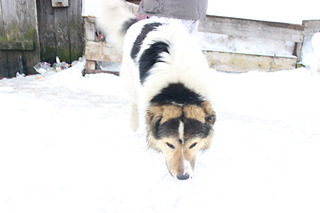 1920 X 1280 211.6 Kb 1920 X 1280 250.1 Kb 1920 X 1280 253.3 Kb  ,  ?