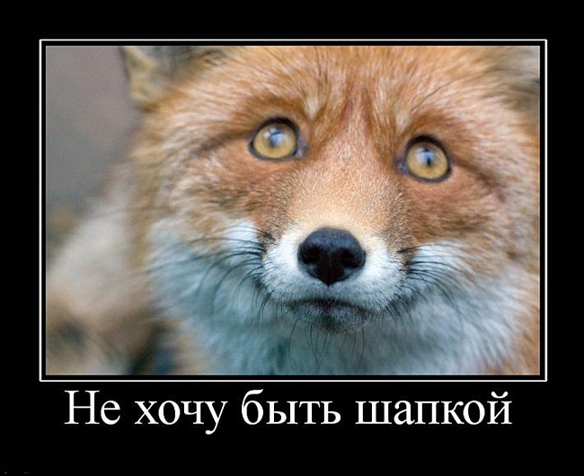 650 x 530 640 x 480 Улыбнемся?