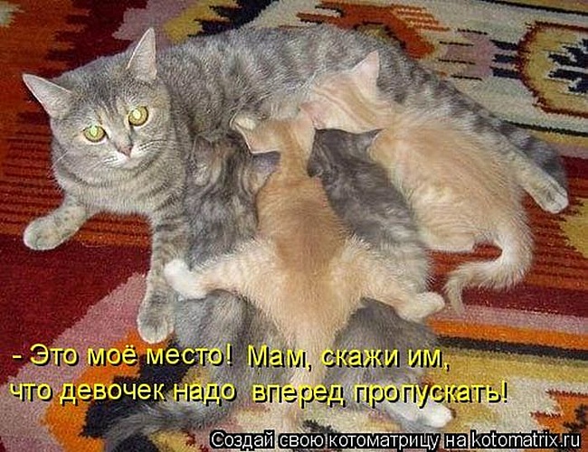 650 x 500 690 X 1128 257.9 Kb 700 x 480 650 x 530 640 x 480 Улыбнемся?
