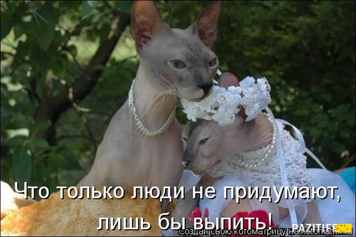 700 x 466 Улыбнемся?