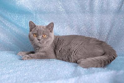 1024 X 683 103.4 Kb 768 X 826 55.7 Kb    ,    6  !