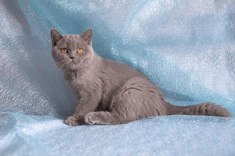 1024 X 682 107.6 Kb    ,    6  !