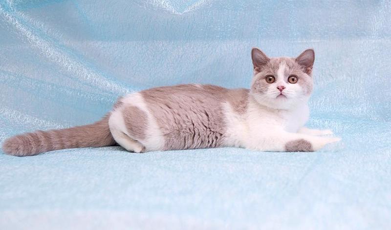 1024 X 603 60.7 Kb 768 X 862 51.8 Kb    ,    6  !