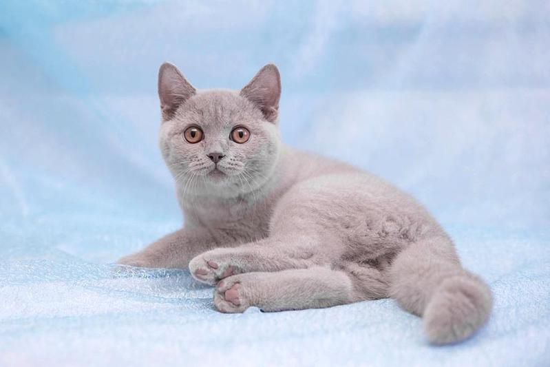 1024 X 683 49.9 Kb    ,    6  !