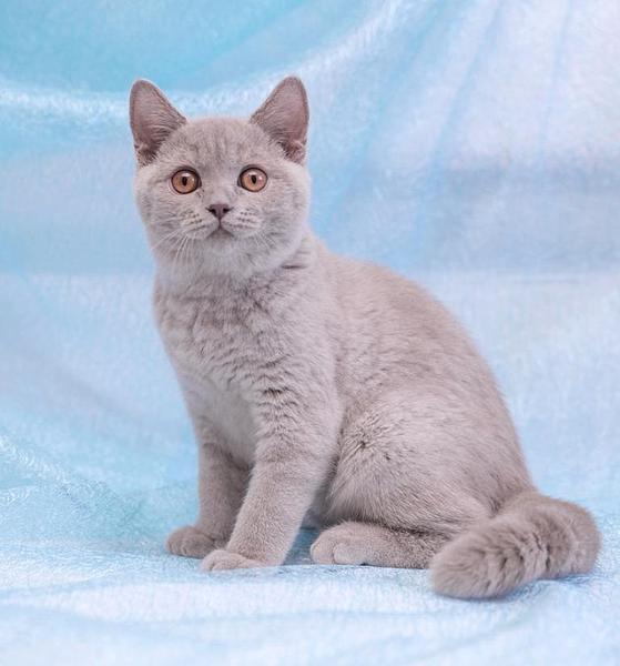 768 X 824 56.1 Kb 1024 X 683 49.9 Kb    ,    6  !