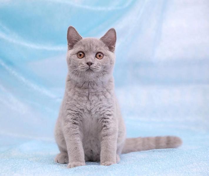 911 X 768 49.4 Kb 768 X 824 56.1 Kb 1024 X 683 49.9 Kb    ,    6  !