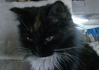 604 X 429  53.5 Kb    !