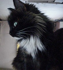 540 X 604  65.9 Kb 604 X 429  53.5 Kb    !