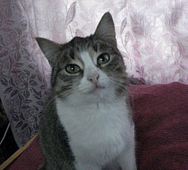 604 X 543  66.7 Kb    !