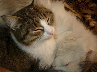 604 X 453  50.8 Kb 604 X 543  66.7 Kb    !