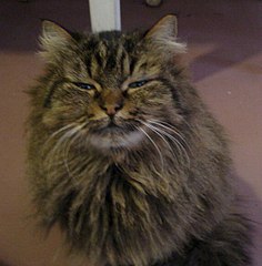 594 X 604  65.3 Kb    !