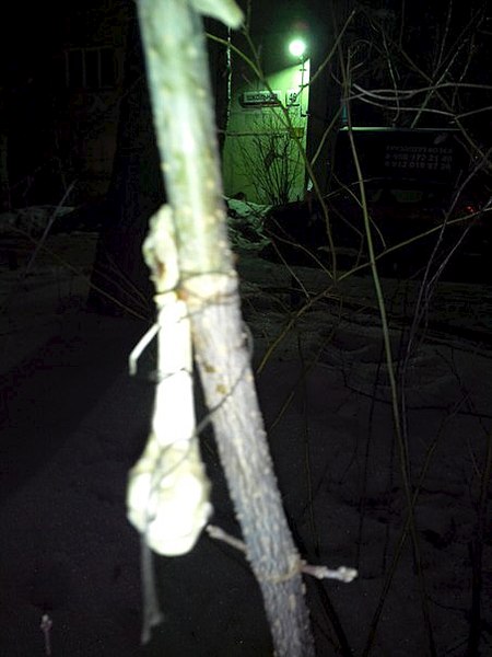 453 X 604  37.0 Kb 453 X 604  46.0 Kb .  ?