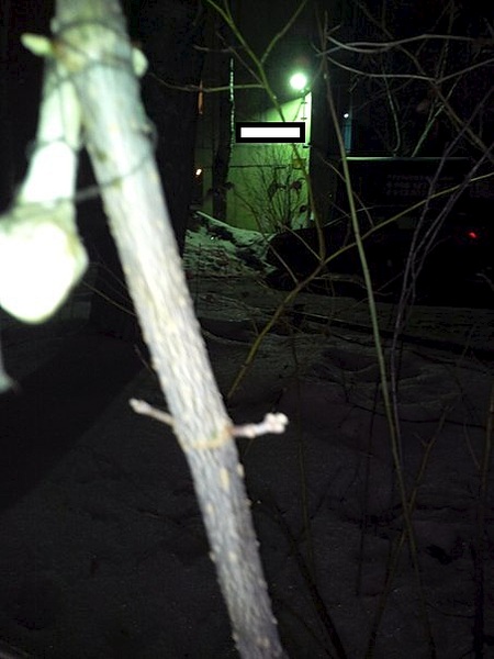 453 X 604  53.2 Kb 453 X 604  54.0 Kb 453 X 604  37.0 Kb 453 X 604  46.0 Kb .  ?