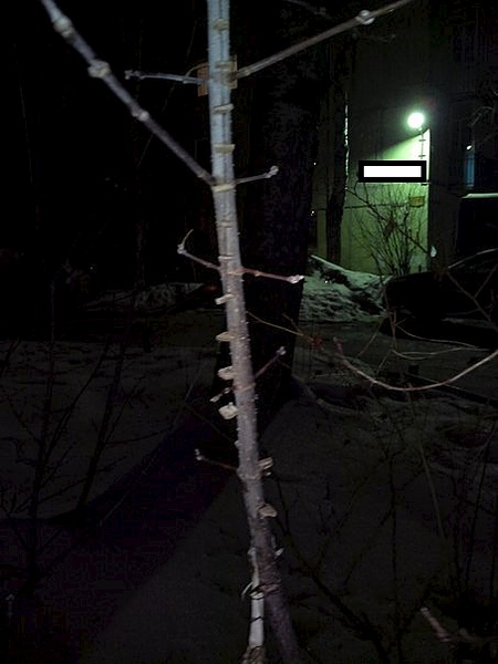 453 X 604  44.4 Kb 453 X 604  53.2 Kb 453 X 604  54.0 Kb 453 X 604  37.0 Kb 453 X 604  46.0 Kb .  ?