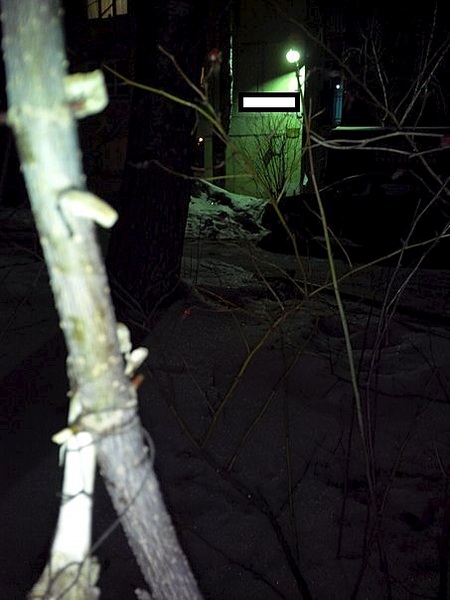 453 X 604  55.5 Kb .  ?