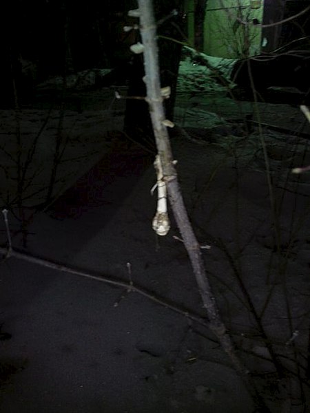 453 X 604  29.0 Kb 453 X 604  55.5 Kb .  ?