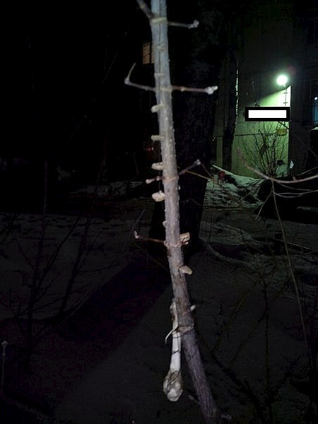 453 X 604  42.6 Kb 453 X 604  29.0 Kb 453 X 604  55.5 Kb .  ?